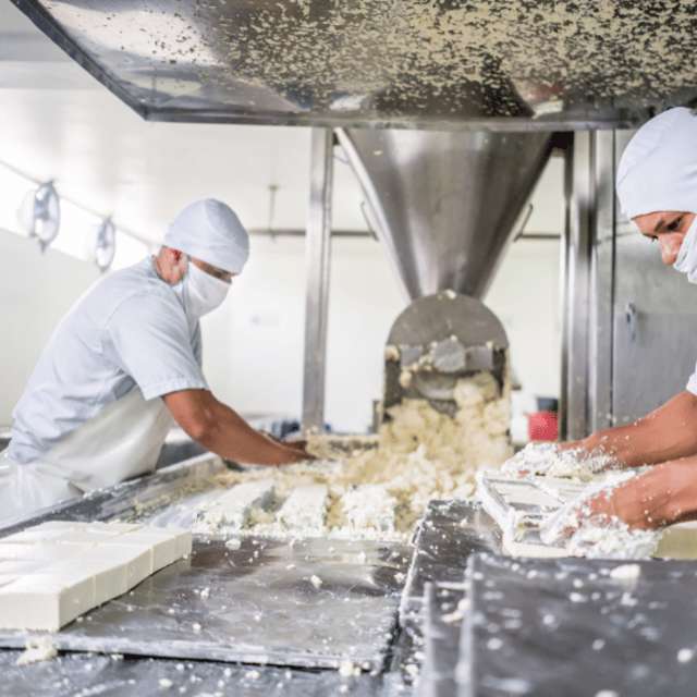 Mænd arbejder med smør på mejeri