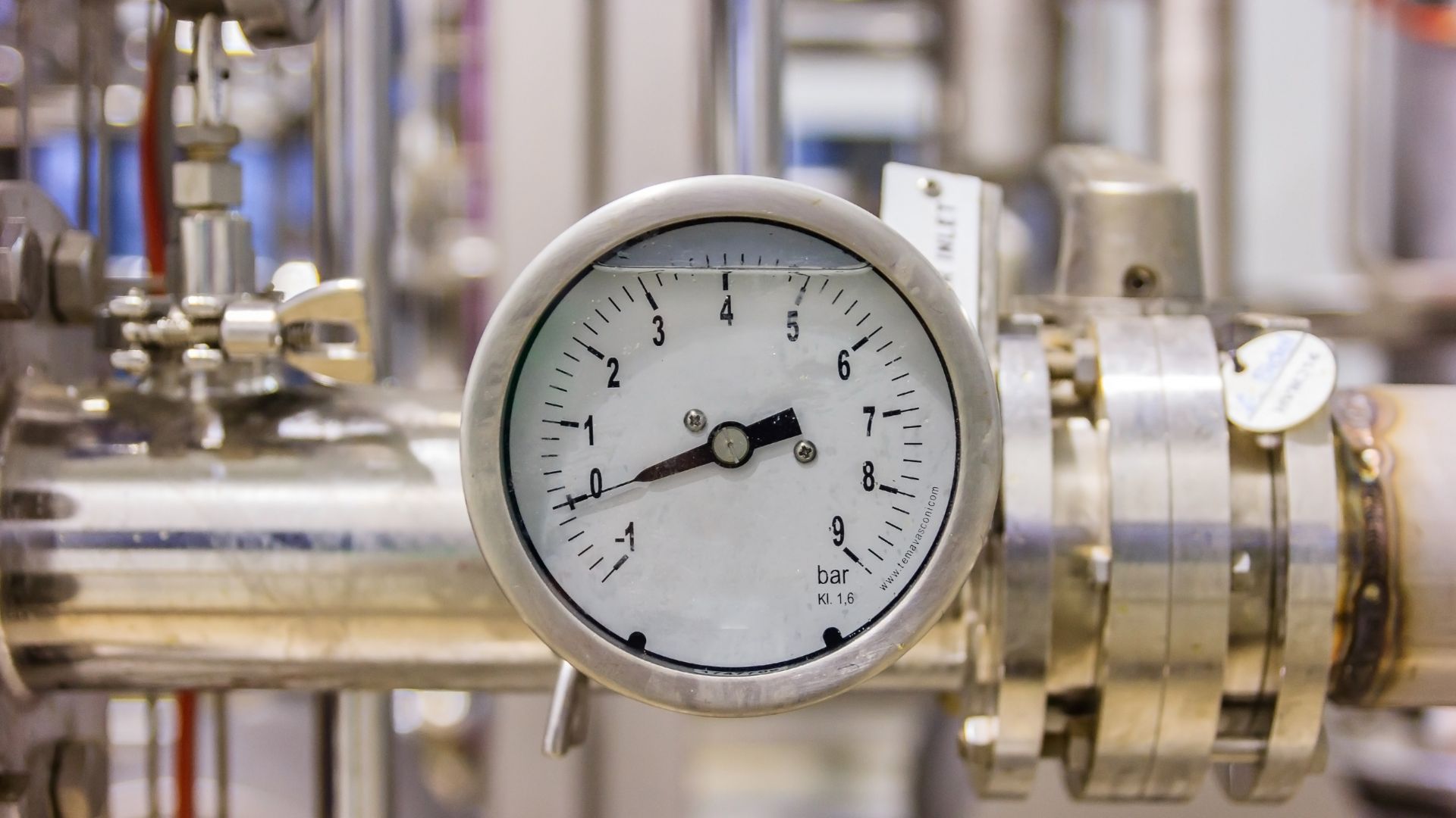 Slangevalgsguiden: Under tryk