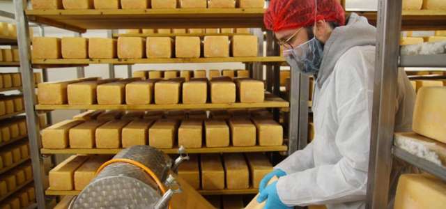 Holtseer Landkäserei