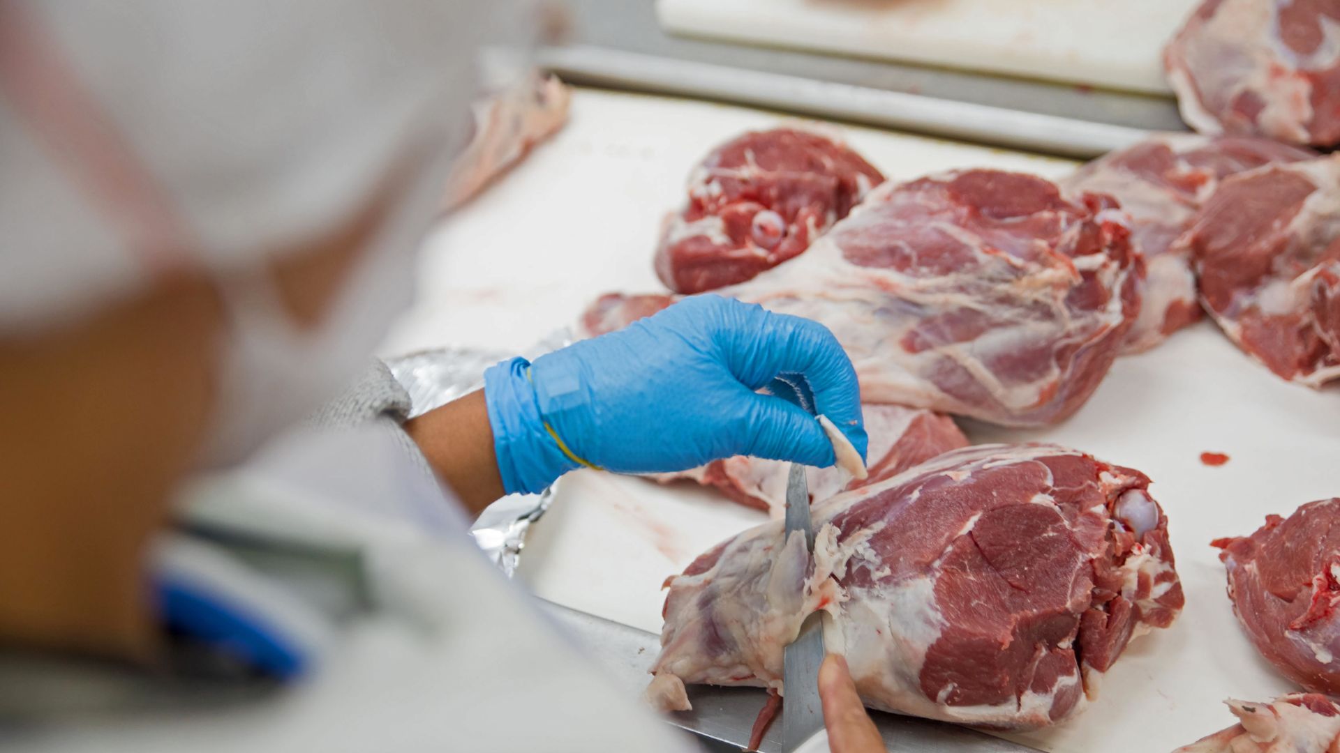 Case: 250 tons kontamineret kød tilbagekaldes