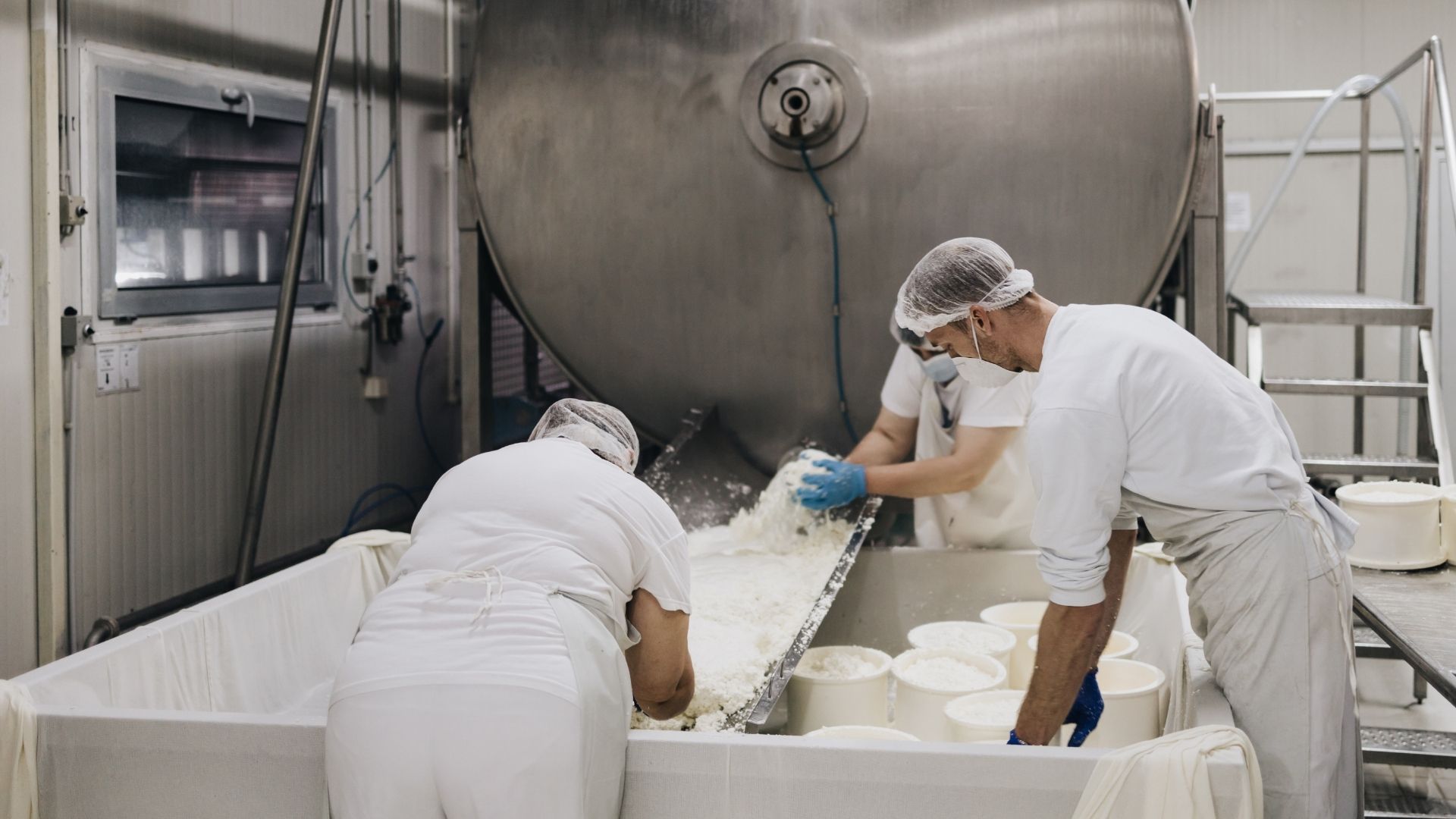 Sådan hjælper vi mejerier