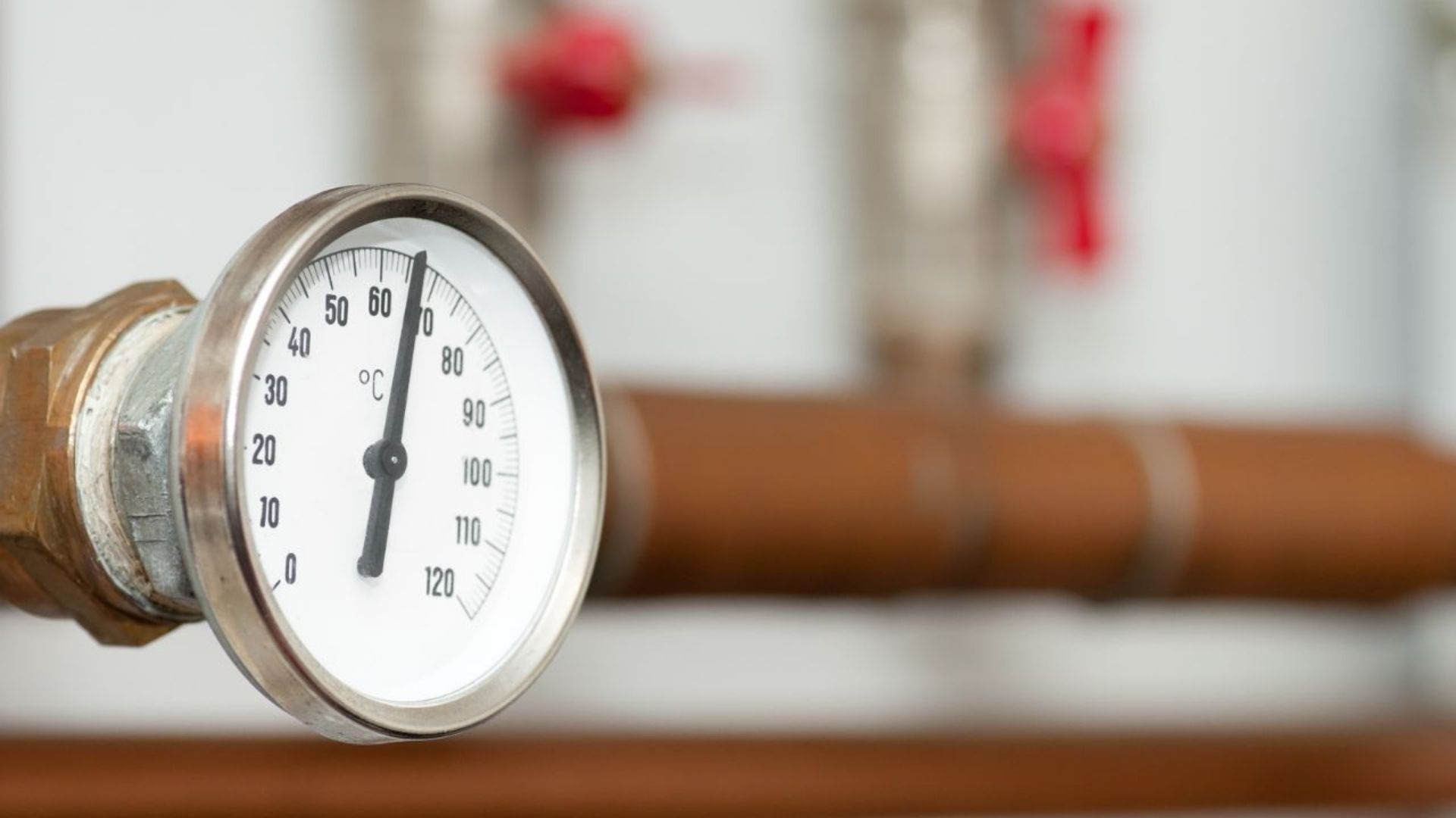 Slangevalgsguiden: Varme og kulde