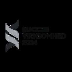 BDO Succesvirksomhed 2024