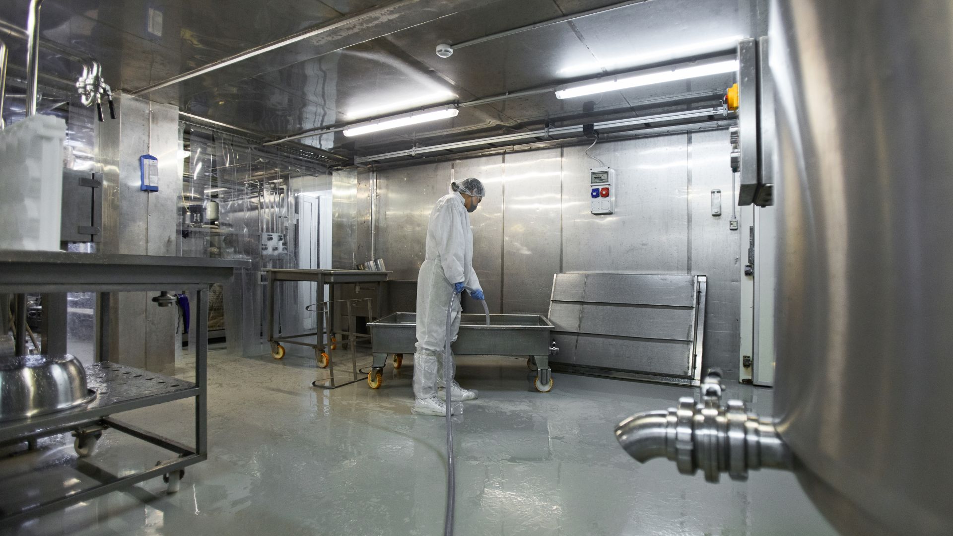 food dairy cleaning